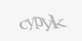 Ахоўны код