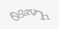 Ахоўны код