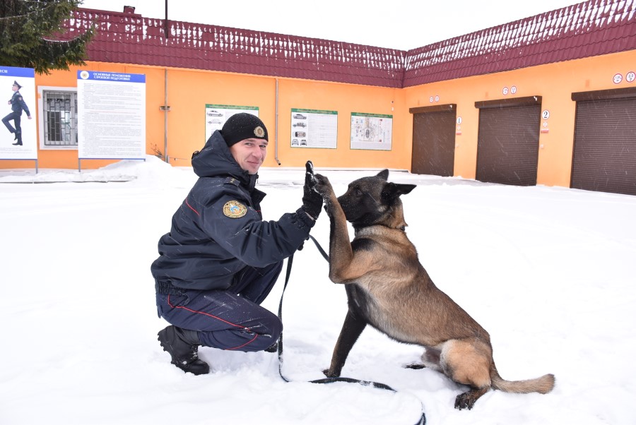 Кинологический после 9 класса