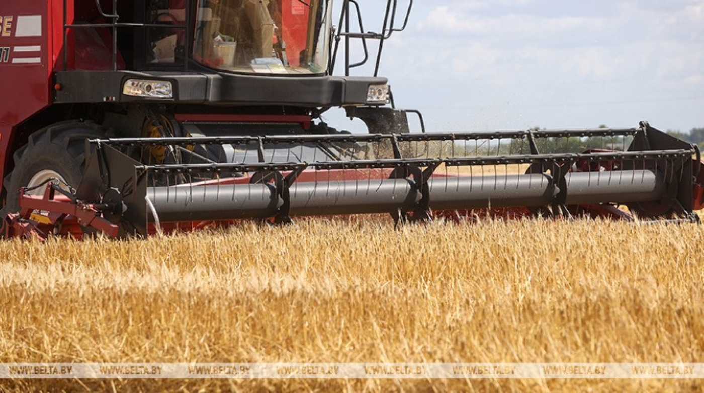 Первый молодой водитель-четырехтысячник страны определился на уборке урожая в Гродненском районе