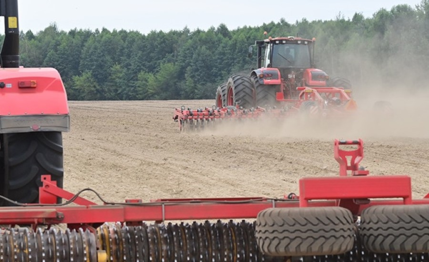 План сева ранних яровых зерновых и зернобобовых в Беларуси выполнен почти на 11%