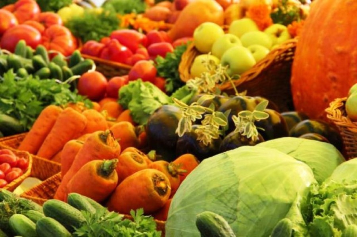 Сколько белорусы могут заработать на картофеле, огурцах и ягодах, рассказали в Белкоопсоюзе