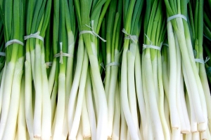 Хватит покупать зеленый лук: как выращивать его на окне и не тратить деньги