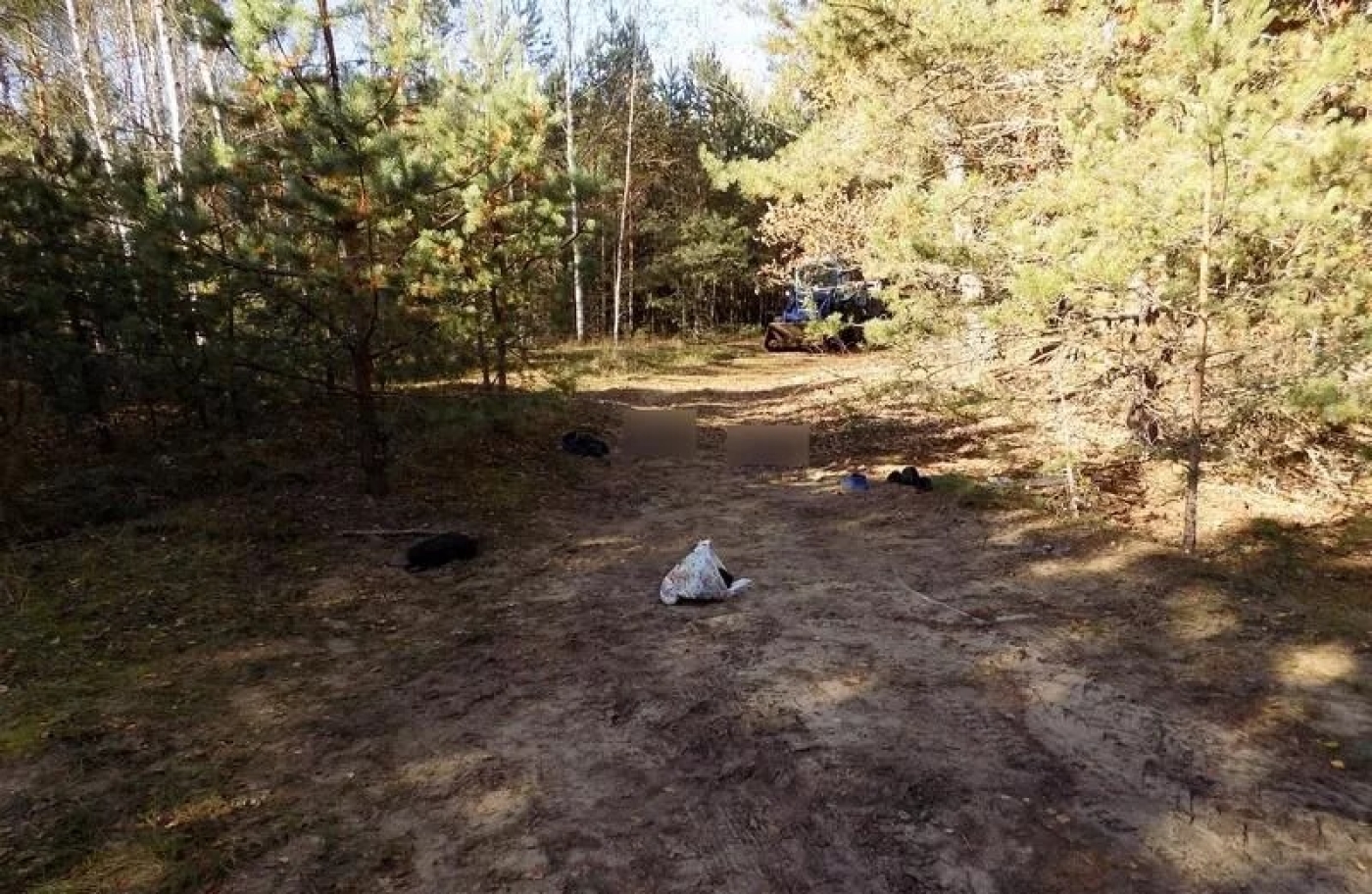 Двое сельчан замерзли насмерть в лесу в Осиповичском районе