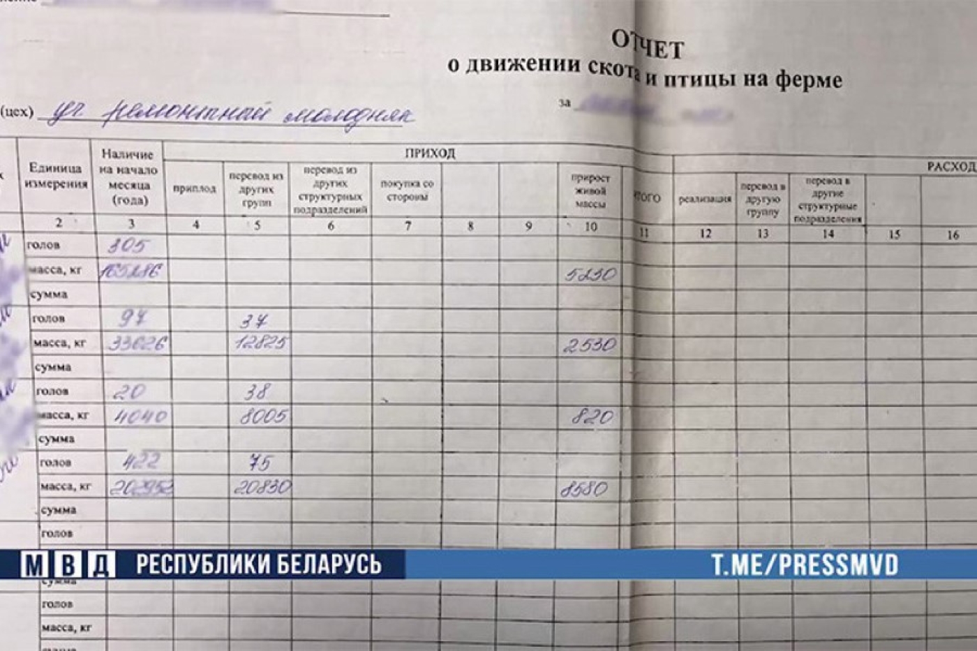 На сельхозпредприятии в Могилевском районе скрывали падеж скота: ущерб составил Br130 тыс.