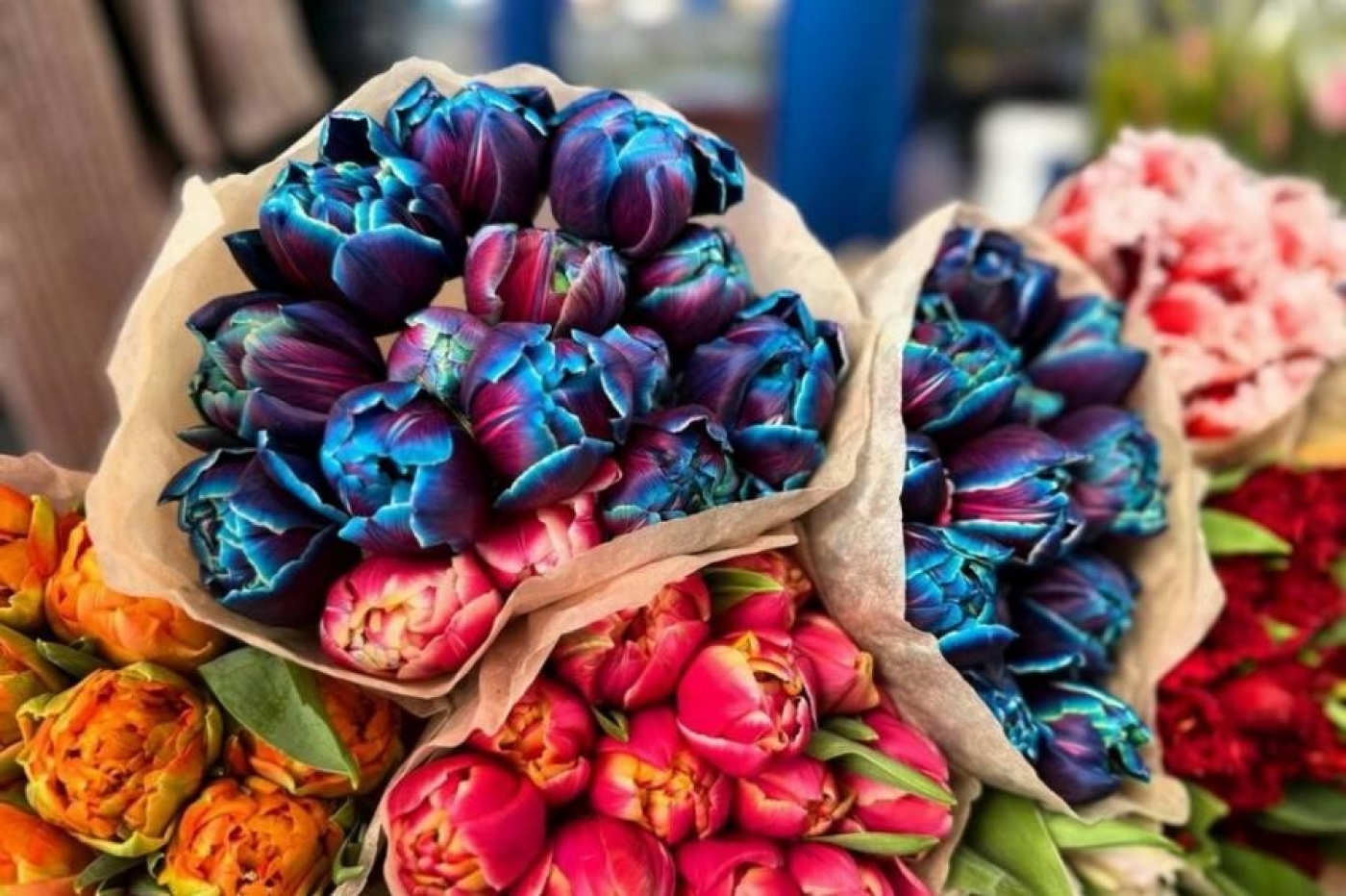 Тюльпаны не вянут 10 дней: 7 секретов, которые реально работают