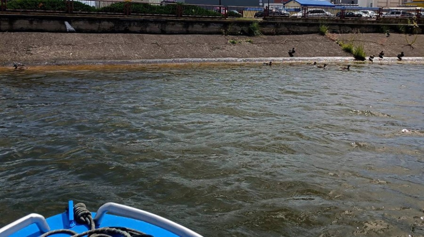 В Лиде мальчик упал в озеро: на помощь пришли работники ОСВОДа