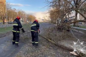 Спасатели ликвидировали последствия сильного ветра в регионах Беларуси