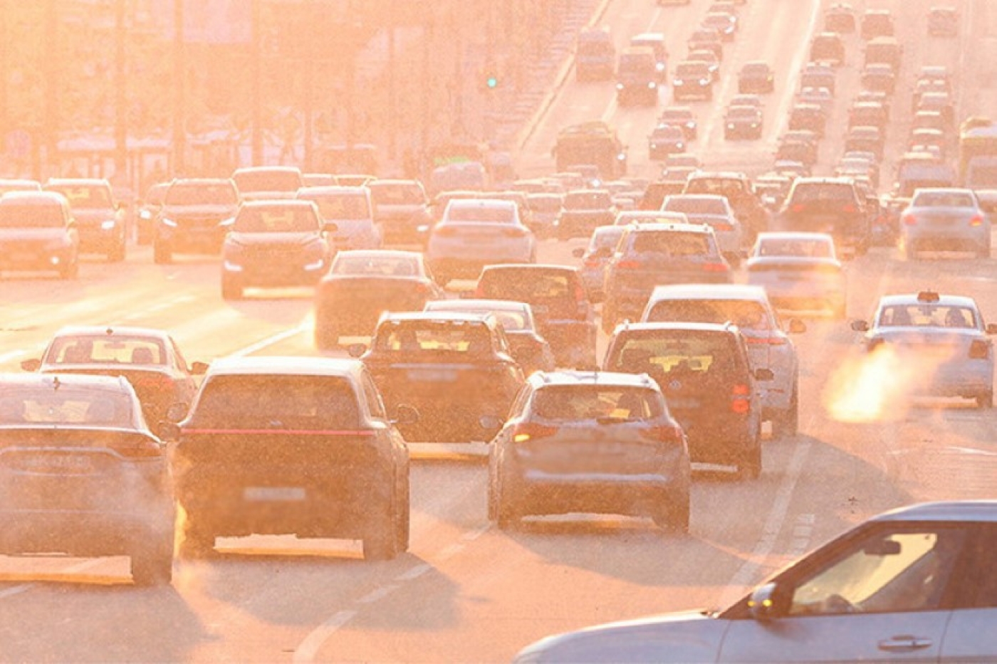 Может ли топливо замерзнуть в баке при аномальных морозах, разъяснили в "Белоруснефти"