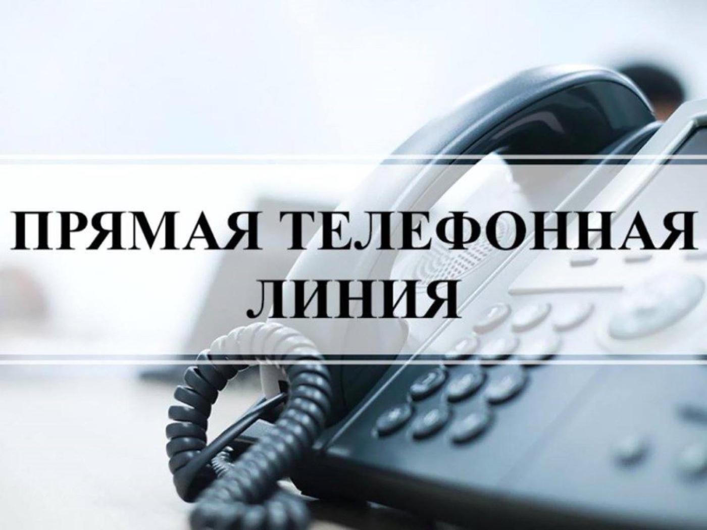 «Прямую линию» проведёт Алеся ТИТОВА