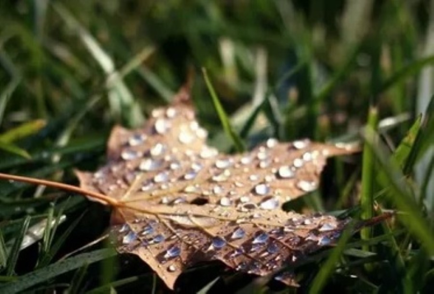 Погода 16 сентября: местами грозы, порывистый ветер и до +24 °С