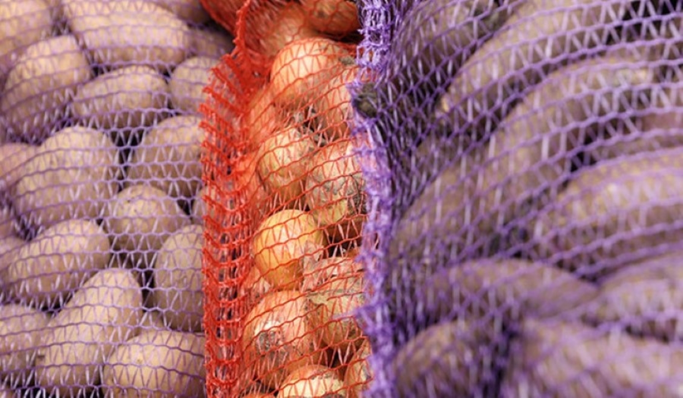 Сколько плодоовощной продукции уже заложено в стабфонды? Рассказали в МАРТ