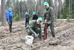 Падвялі вынікі «Тыдня лесу – 2023»