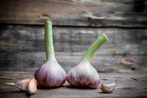 Этот способ спасет урожай: как посадить озимый чеснок весной