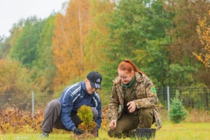 Озелененность городов Минской области достигает 44%
