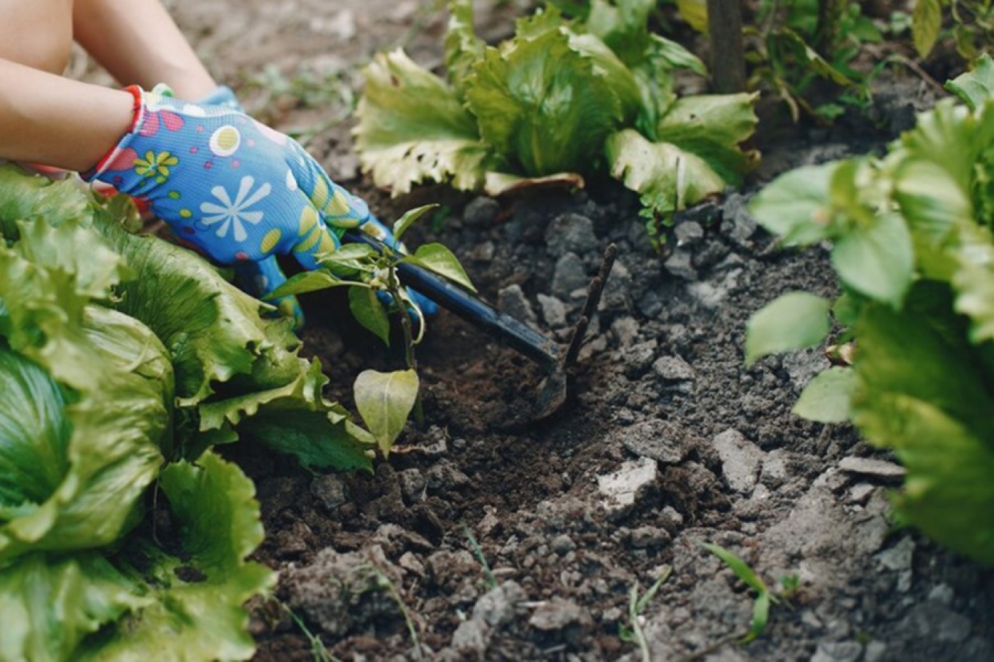 Как защитить кожу рук во время дачного сезона? Отвечает врач