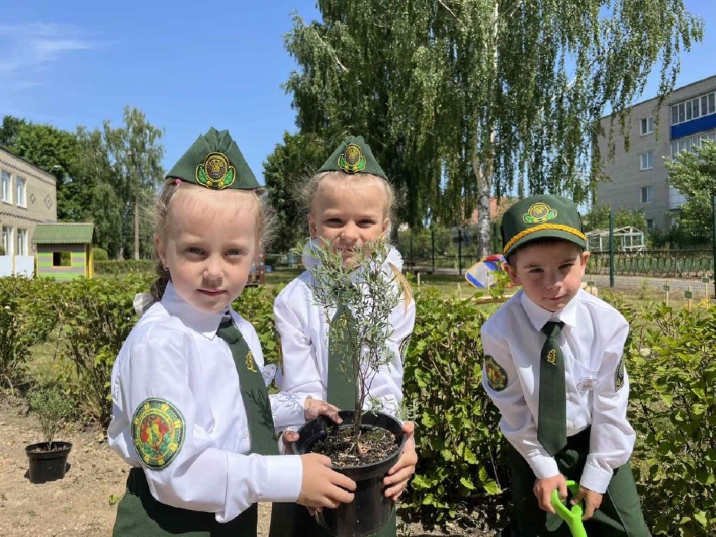 Более 60 школьных лесничеств создано в Минской области