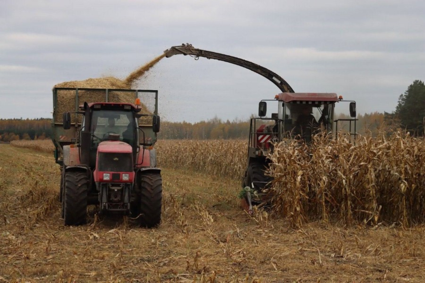 Заготовка кормов продолжается