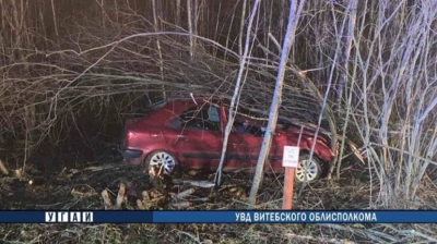Внезапно выбежавший на трассу в Россонском районе лось спровоцировал ДТП