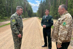 На контроле лесовосстановление