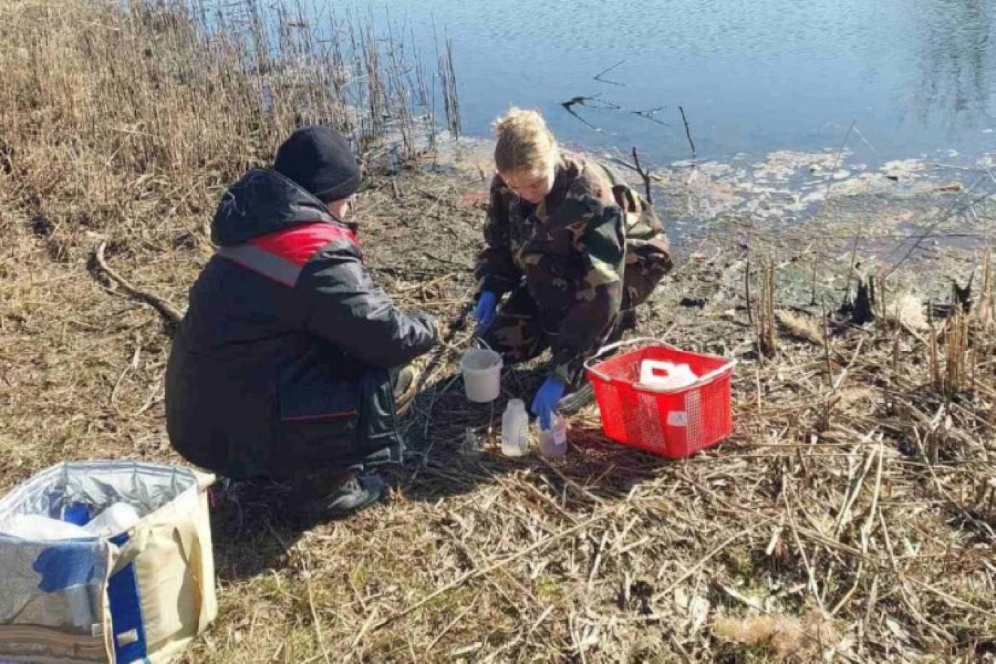 В Лунинце выясняют причину гибели рыбы в прудах Бохоново