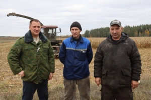 В ОАО «Богушевичи» идёт заготовка кукурузы на силос