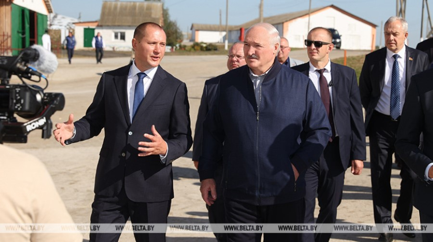 Александру Лукашенко показали идеальный молочно-товарный комплекс. В чем его секрет?