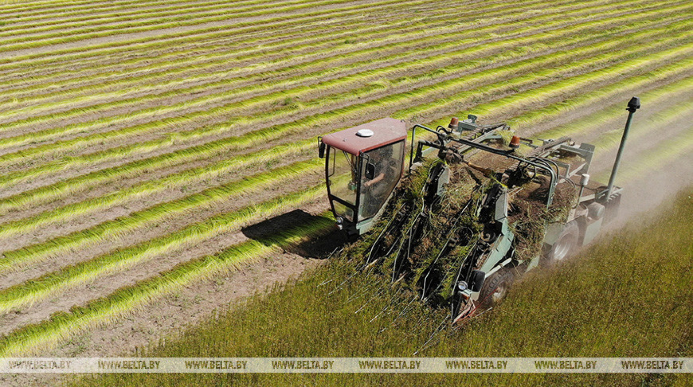 Лукашенко потребовал максимальное внимание уделить выращиванию льна