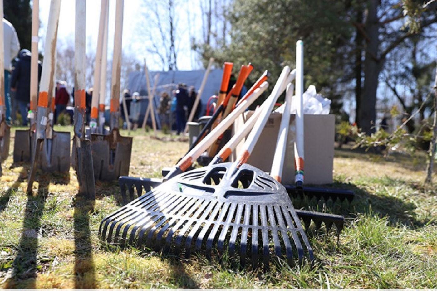 Республиканский субботник проходит в Беларуси