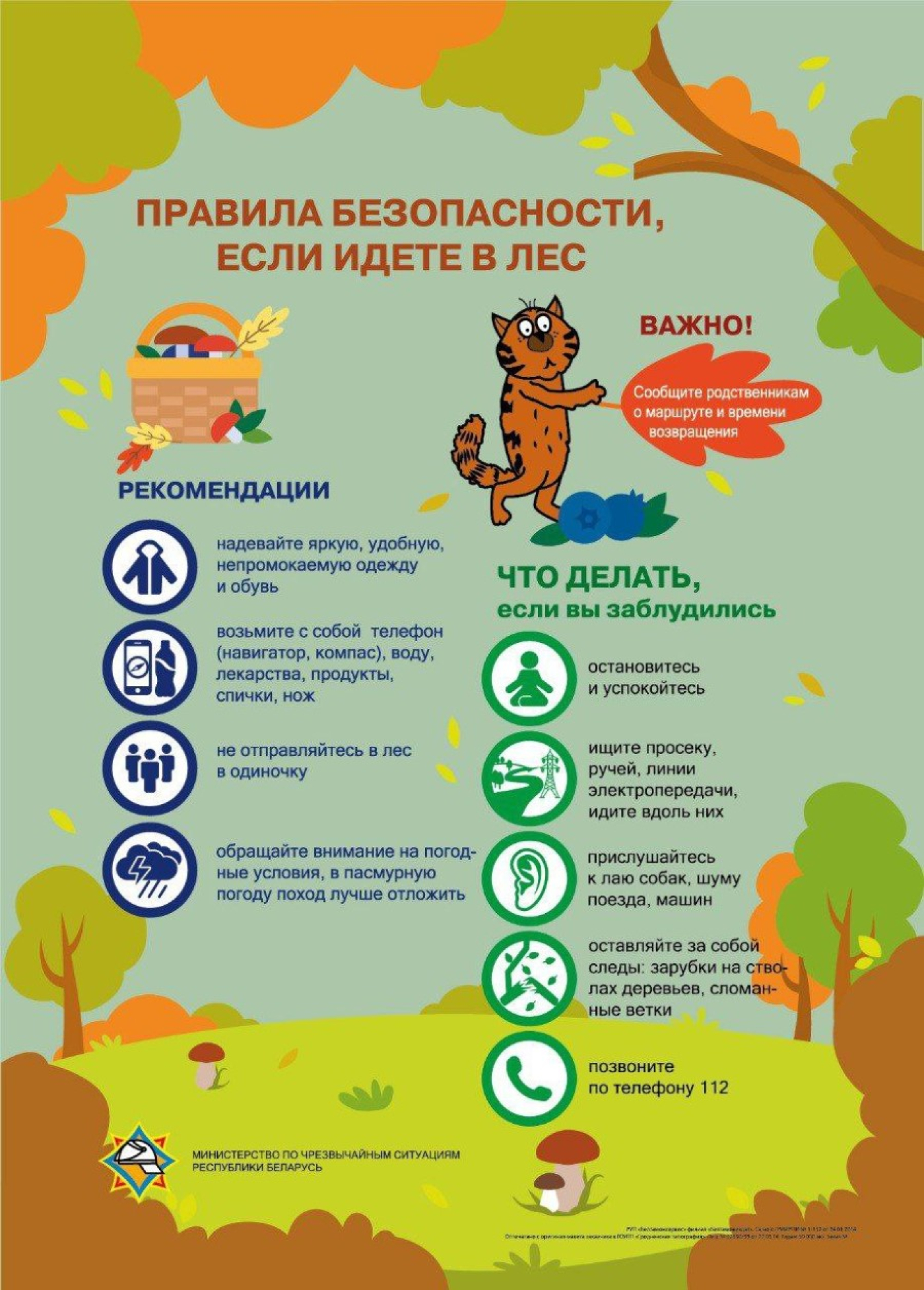 МЧС напоминает, как не потеряться в лесу