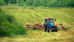 В Беларуси травы первого укоса скошены на 80% запланированных площадей