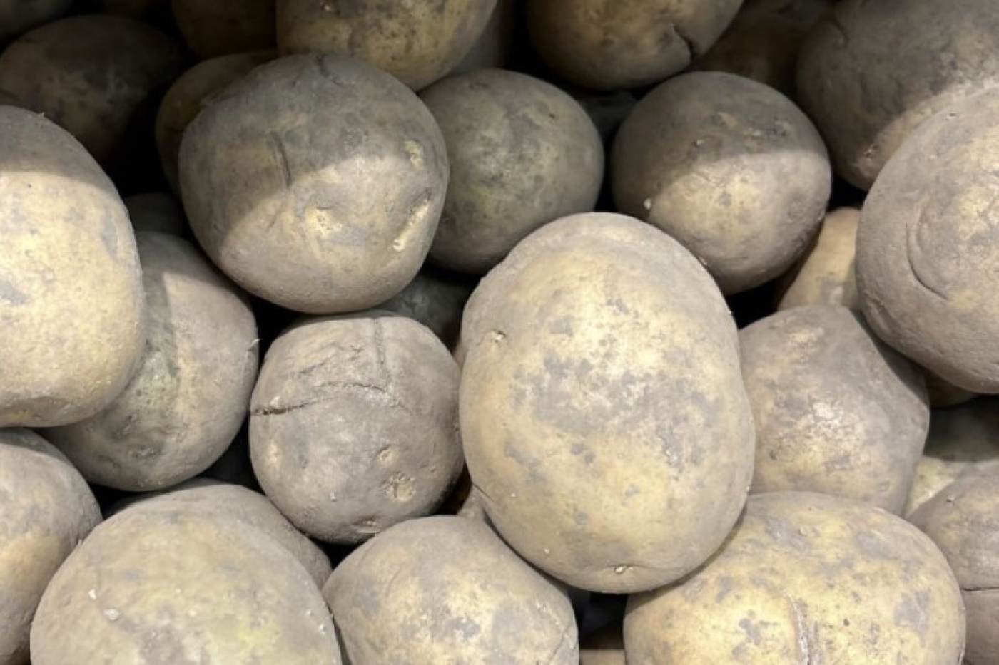 Что показала проверка качества продукции стабфондов в магазинах Минской области, рассказали в КГК