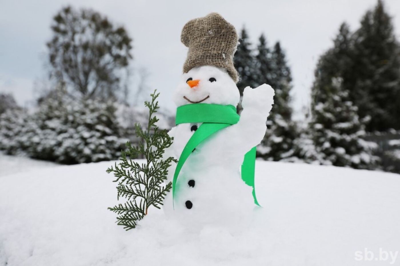 Погода в Беларуси 2 января: метель и снежные заносы, гололедица и до +1 °С