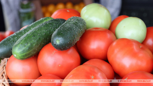 ФПБ: цены на основные овощи снизились