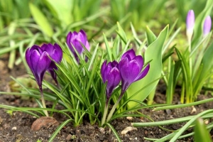 Погода 10 марта: преимущественно без осадков и до +21 °С