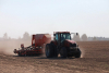 Мониторинг сева озимых зерновых
