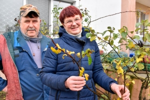 Жывёлагадоўля – справа сямейная