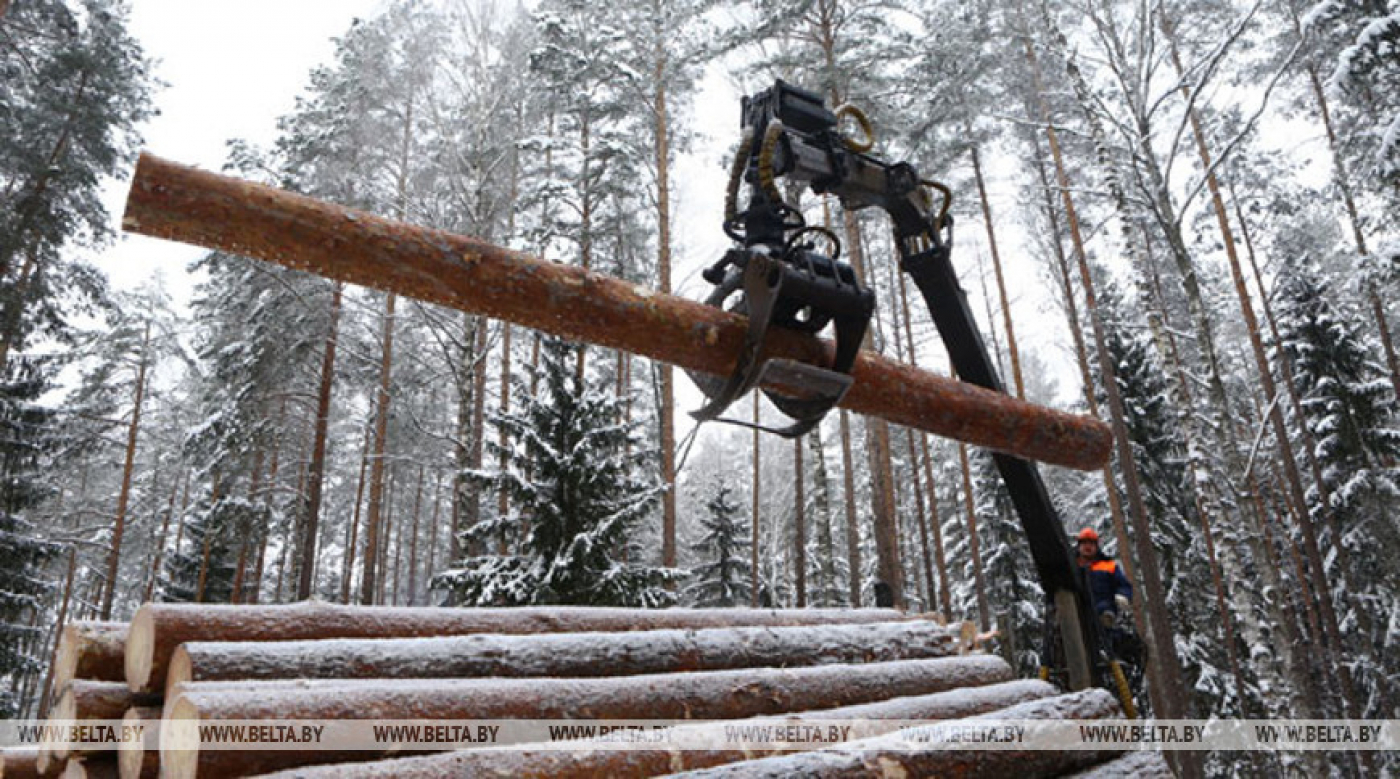 Глава Минлесхоза: в отрасли достаточно техники для устранения последствий стихии