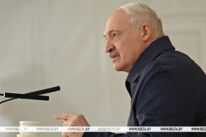 Сохранение земель и создание производств. Лукашенко о задачах по развитию Припятского Полесья