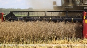 За время уборочной мобильными группами выявлено около 6 тыс. нарушений требований по охране труда
