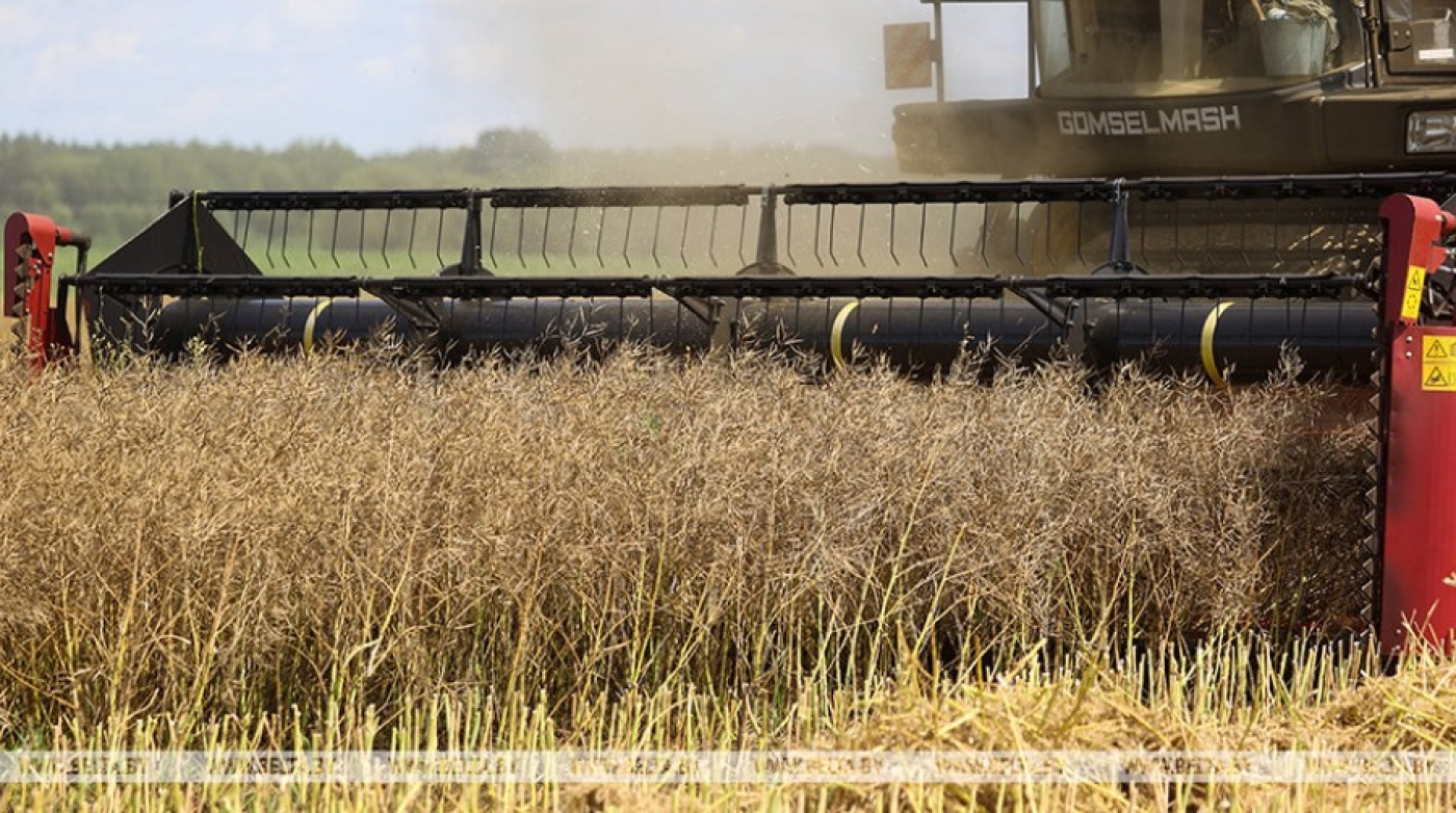 За время уборочной мобильными группами выявлено около 6 тыс. нарушений требований по охране труда