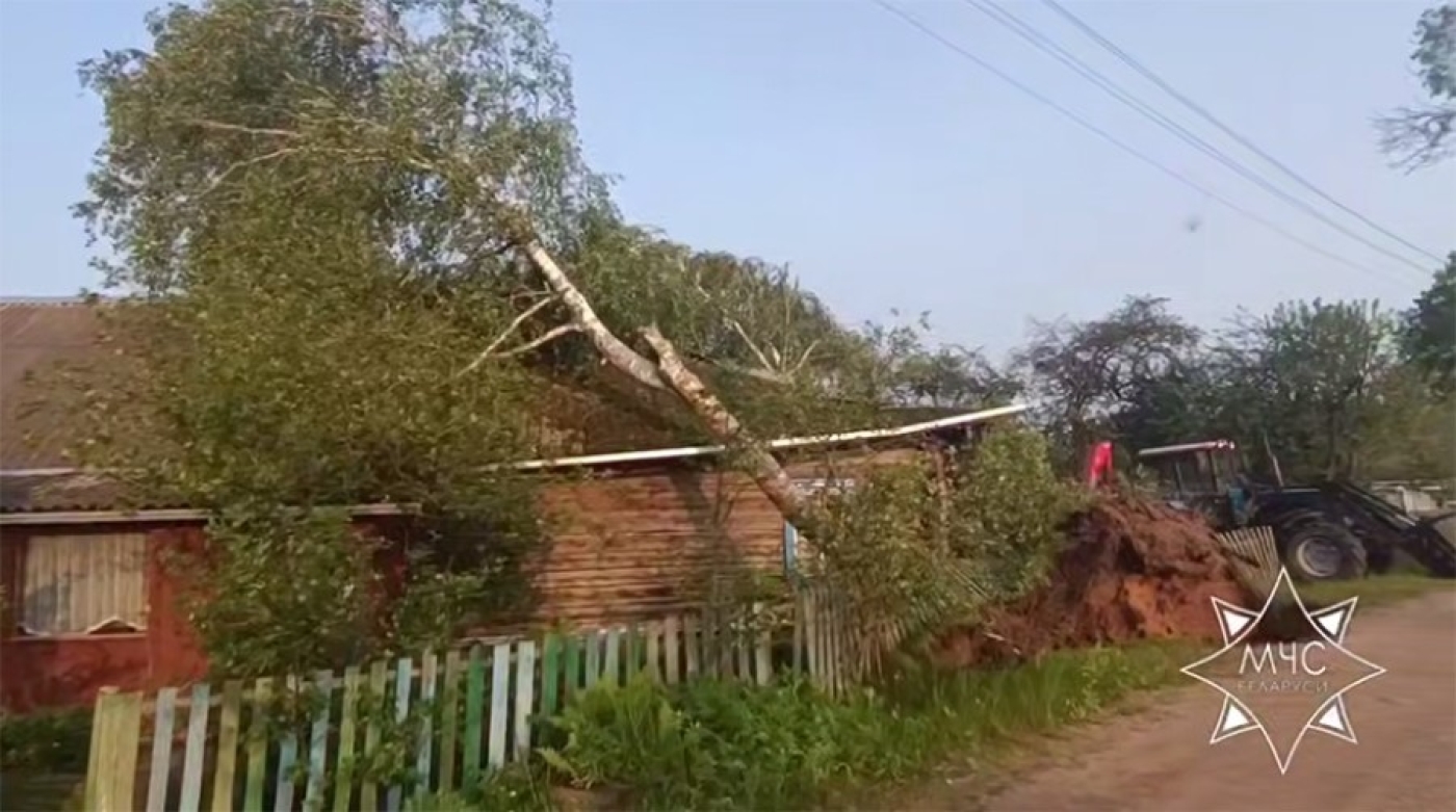 Два дерева упали из-за ветра на дачный дом в Логойском районе