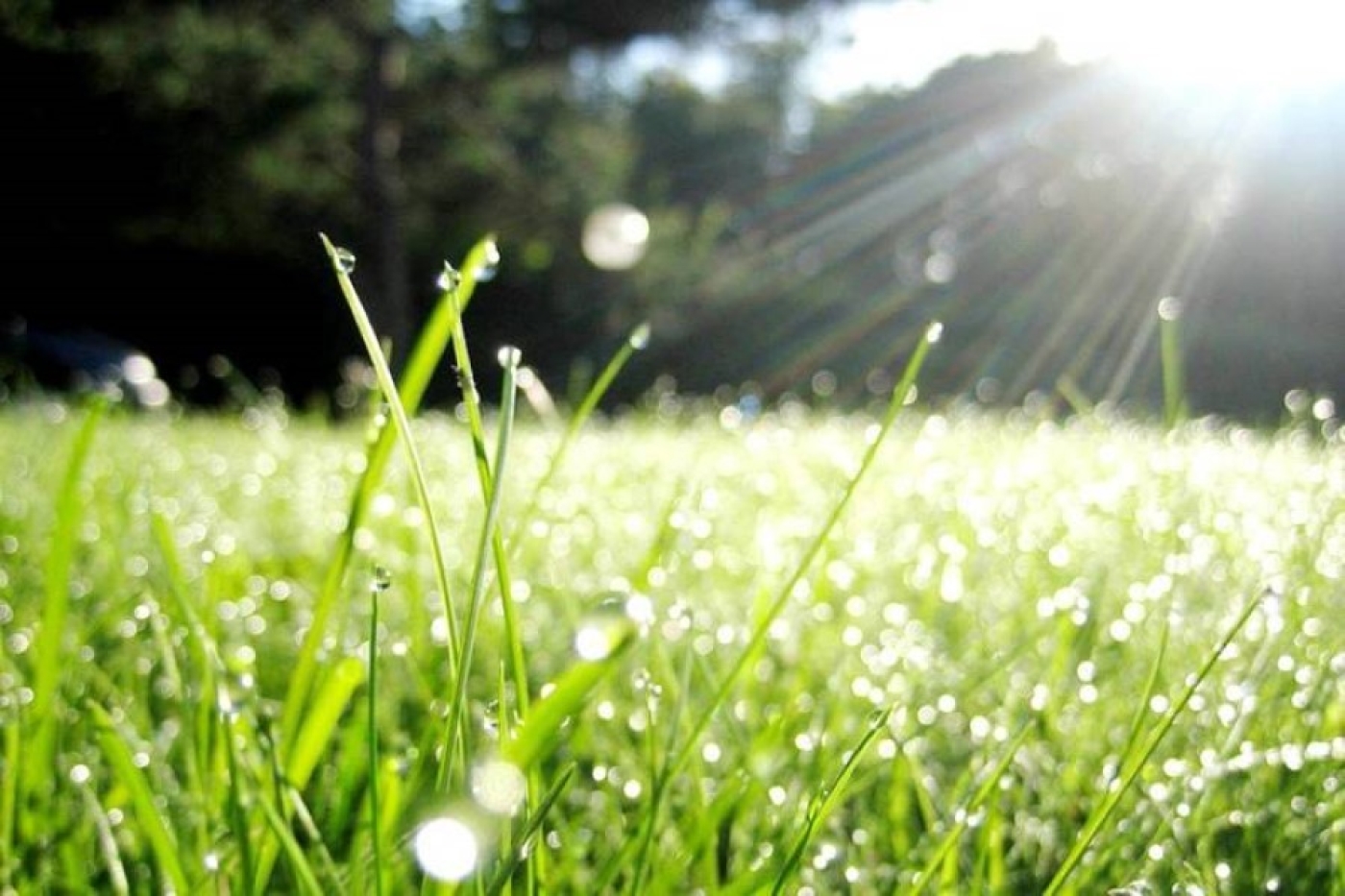 Погода в Беларуси 11 марта: местами дожди и порывистый ветер, от +1 °С до +20 °С