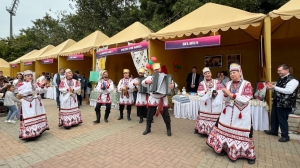 Национальная культура Беларуси представлена на ярмарке в Нью-Дели