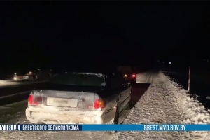 В Барановичах инспекторы ГАИ помогли семье с детьми, чей автомобиль заглох на морозе