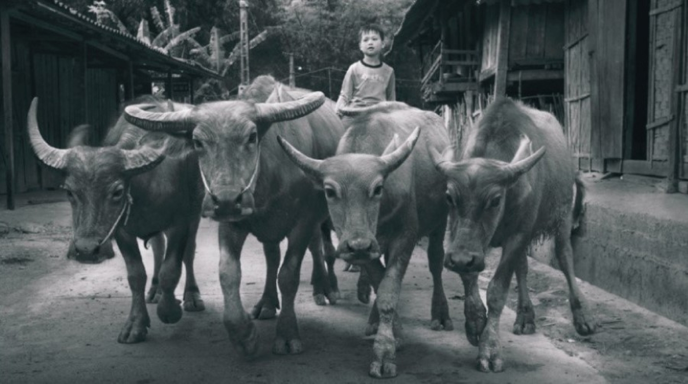 Первозданная природа и красота жизни. Выставка "Рис и образы Вьетнама" откроется в Новополоцке