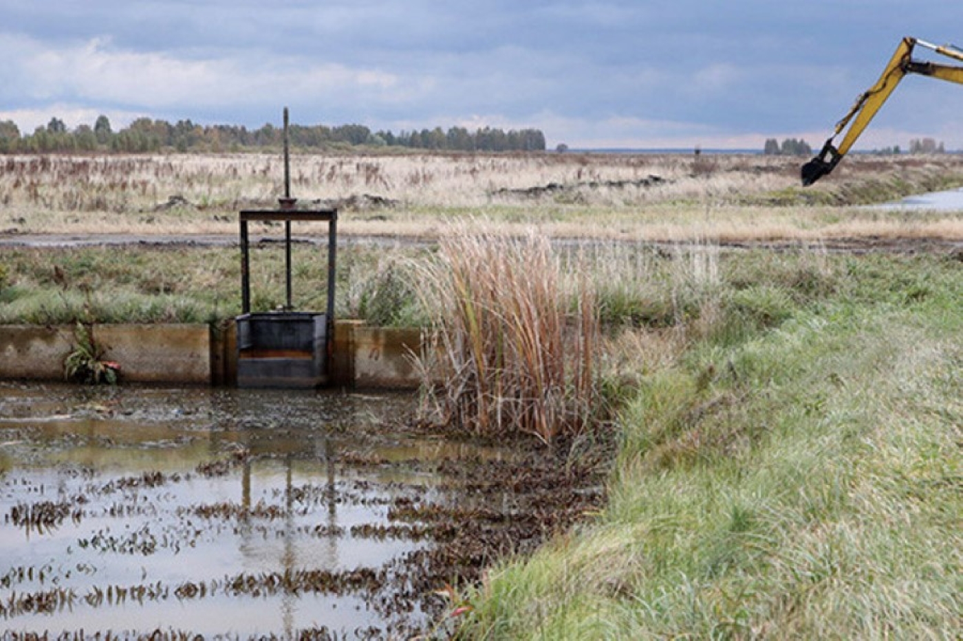 Лукашенко заявил о необходимости менять тактику мелиорации