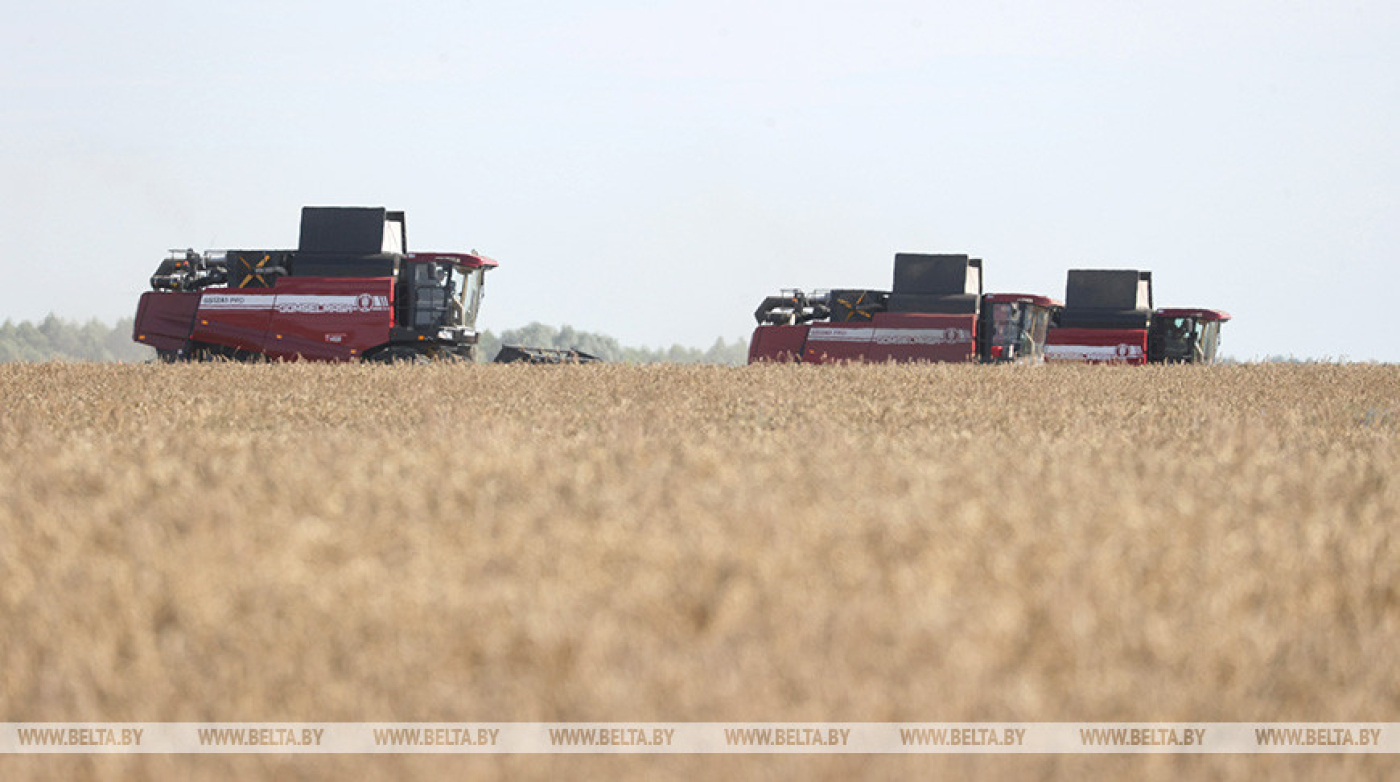 Лукашенко совершит рабочую поездку в Каменецкий район