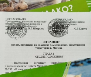 Обращаем внимание! Порядок действий при обнаружении раненых, травмированных или больных диких животных