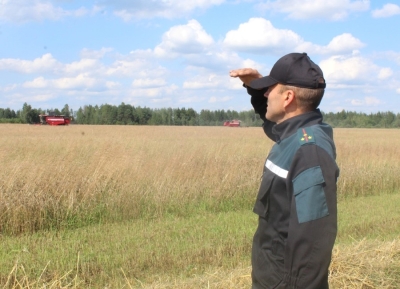 Золото полей – в их руках тоже: в поле дежурят Андрей Воронович и Иван Борисенок